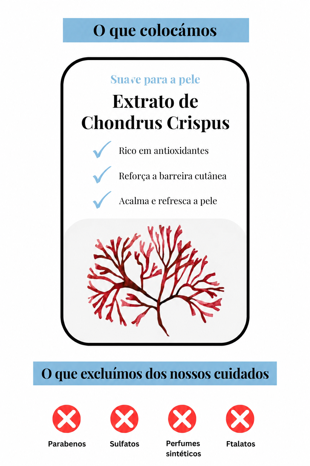 Extrato de Chondrus Crispus – suave para a pele